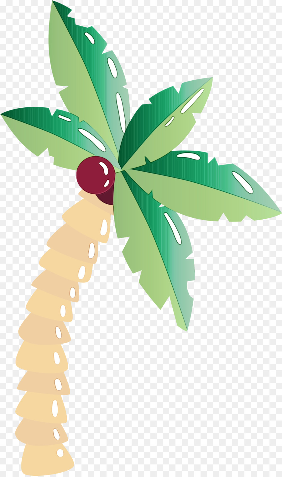 Palmera，Verde PNG