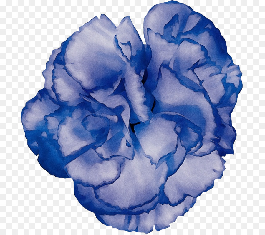 Flor Azul，Pétalos PNG