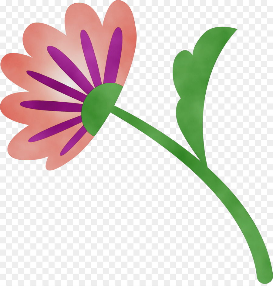 Flores Rosadas，Florecer PNG