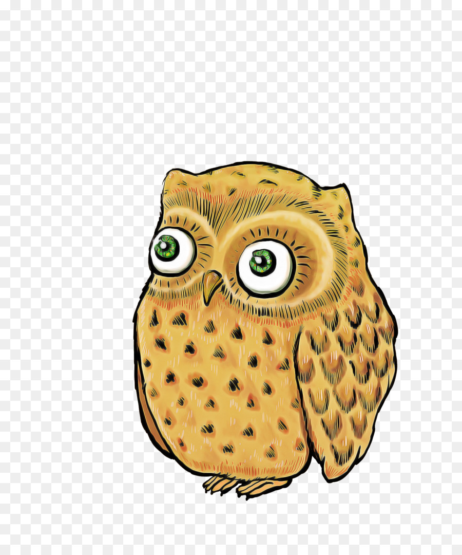 Búho De Dibujos Animados，Ojos Grandes PNG