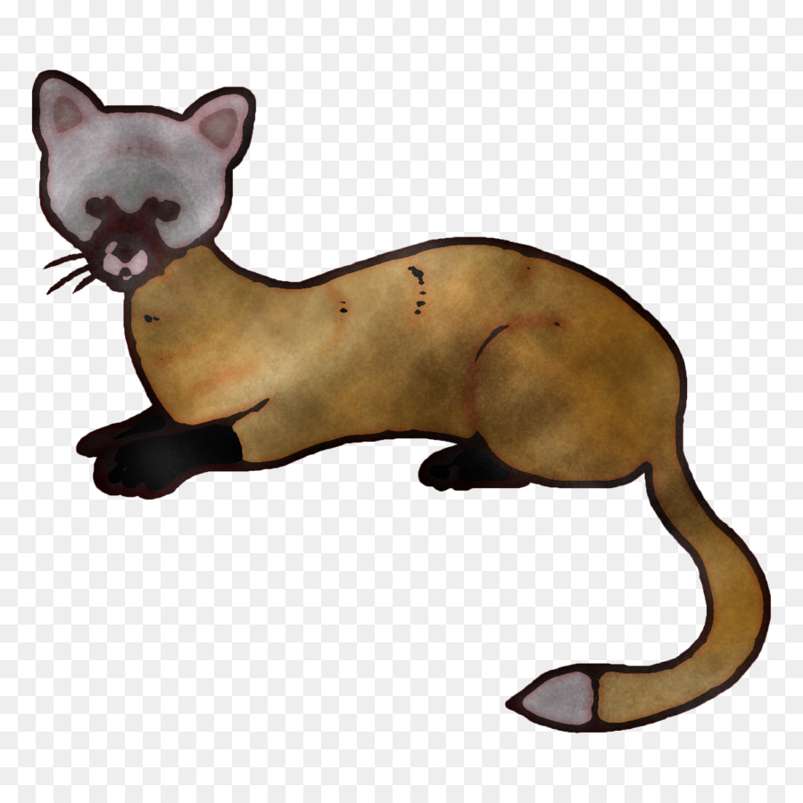 Bigotes，Gato PNG