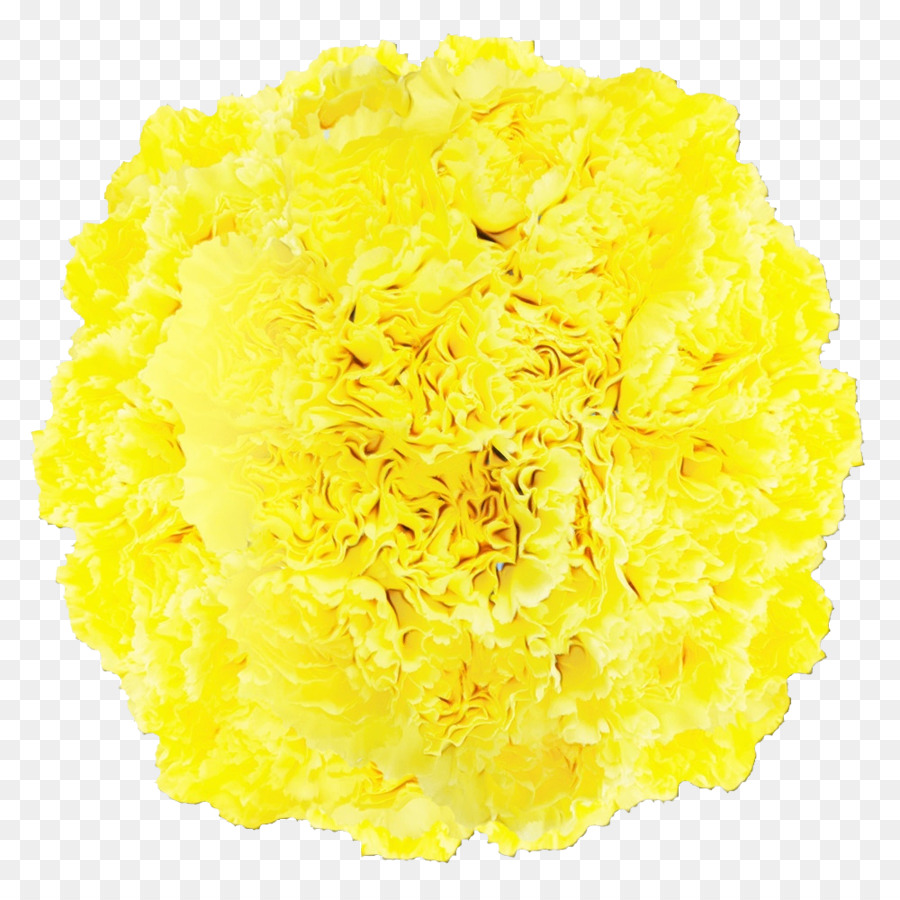 Las Flores Cortadas，Amarillo PNG