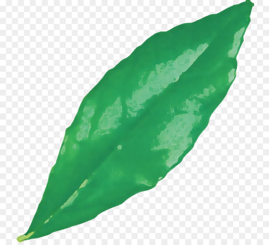 Hoja Verde，Planta PNG