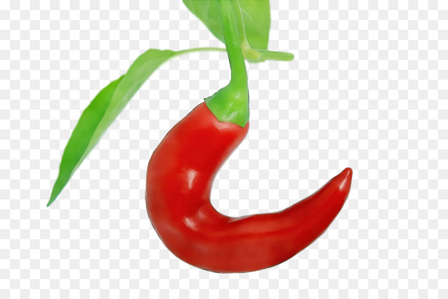 Tabasco Pimienta，Capsicum Annuum Var Acuminado PNG