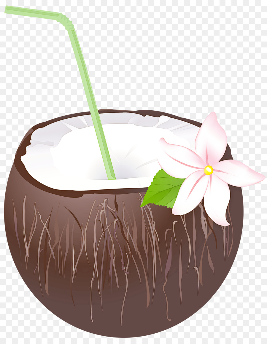 Maceta，Orquídeas PNG