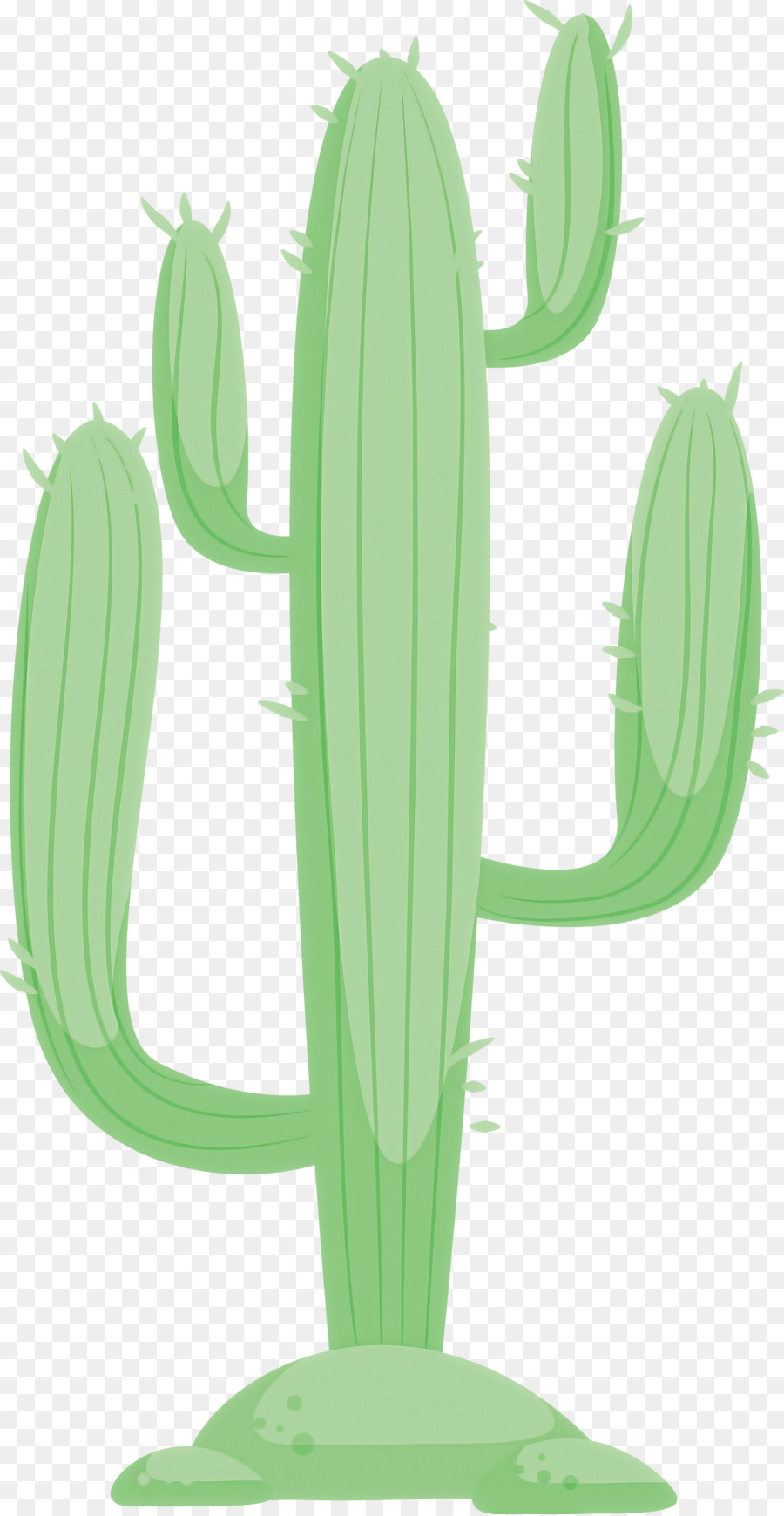 Cactus，Desierto PNG