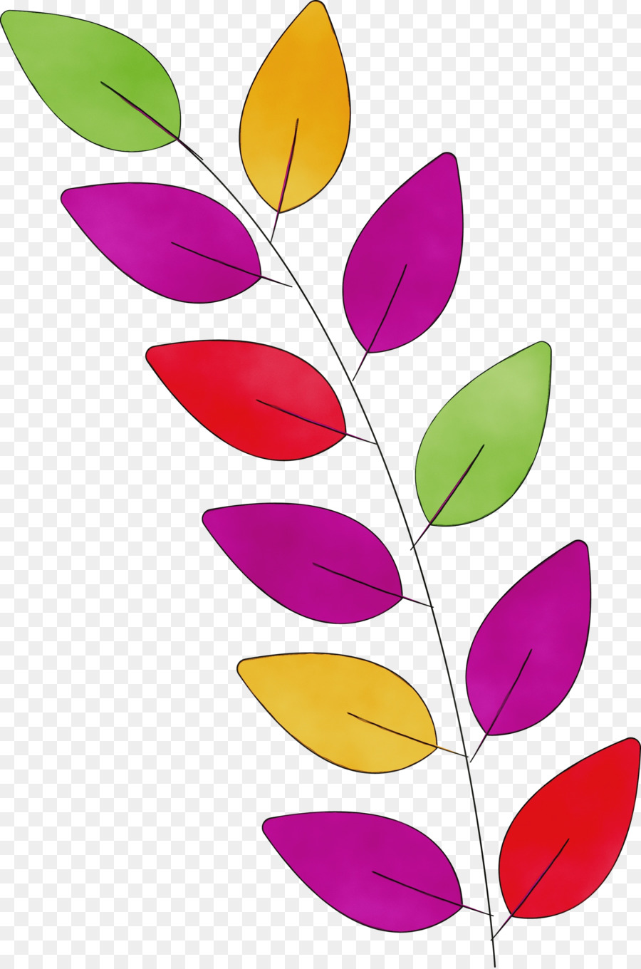 Hojas Coloridas，Planta PNG