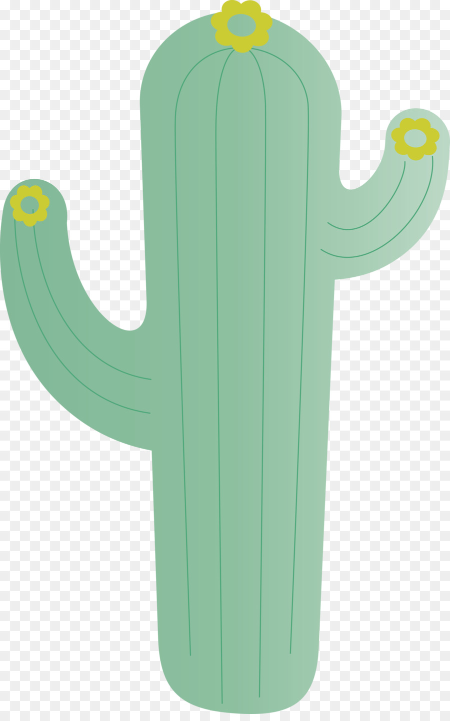 Cactus，Suculento PNG