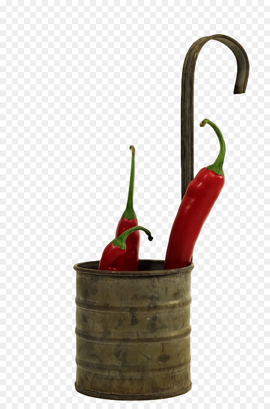 Pimienta De Chile，Maceta PNG