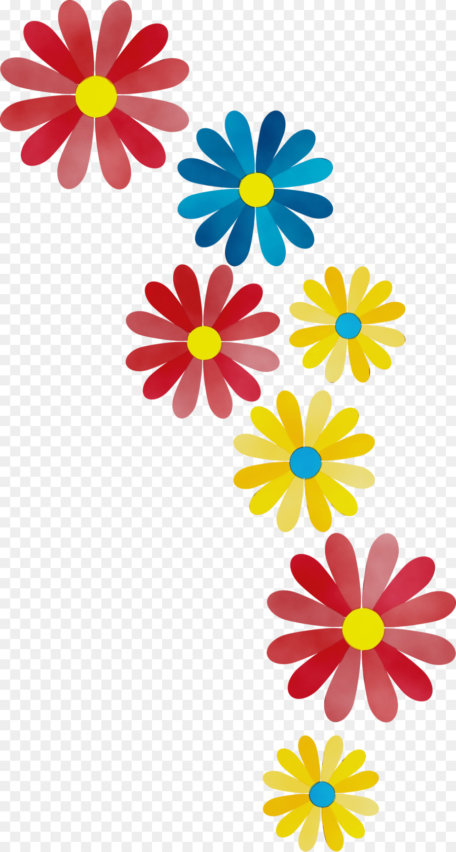 Transvaal Daisy，Diseño Floral PNG