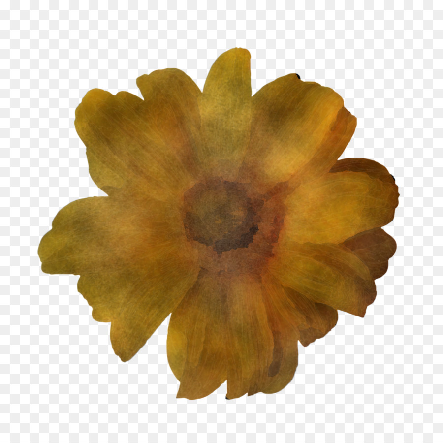 Flor，Pétalo PNG