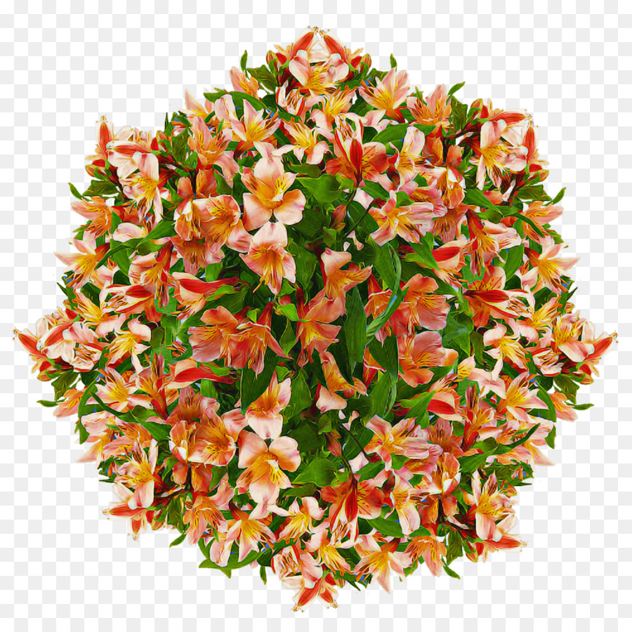 Flores De Naranja，Hojas Verdes PNG