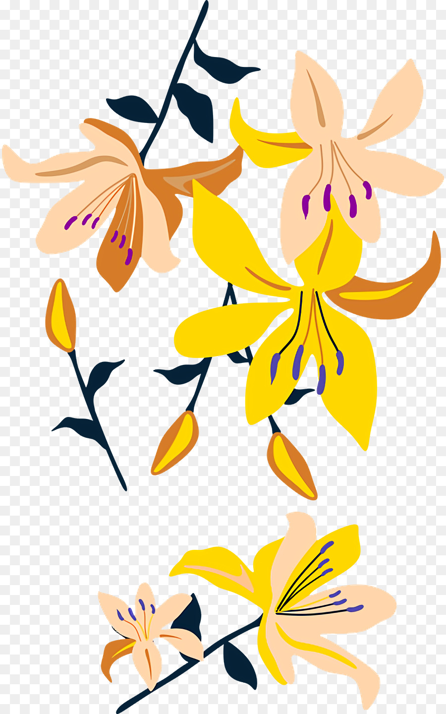 Diseño Floral，Vástago PNG