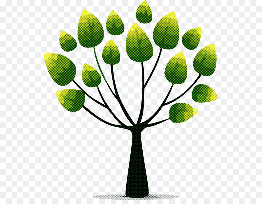 Árbol，Hojas PNG