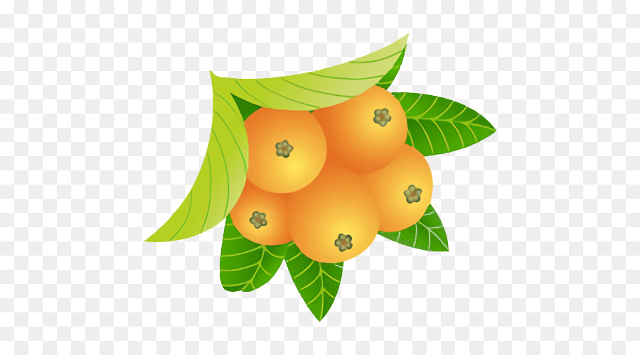 Naranja，Cal Clave PNG