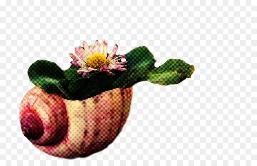 Maceta，Flor PNG