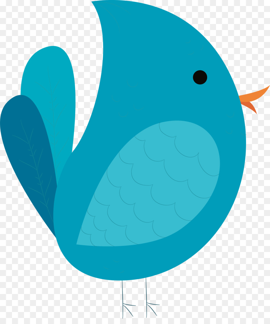 Pico，Aves PNG