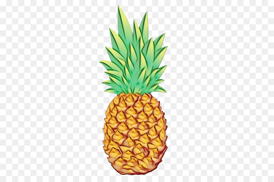 Piña，Frutas Tropicales PNG