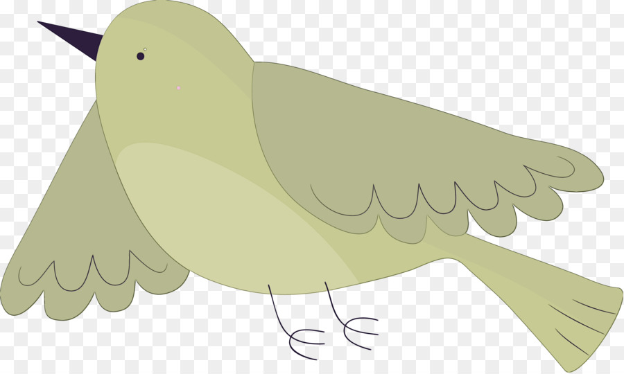 Pico，Aves PNG