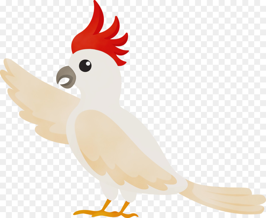 Pájaro，Plumas PNG