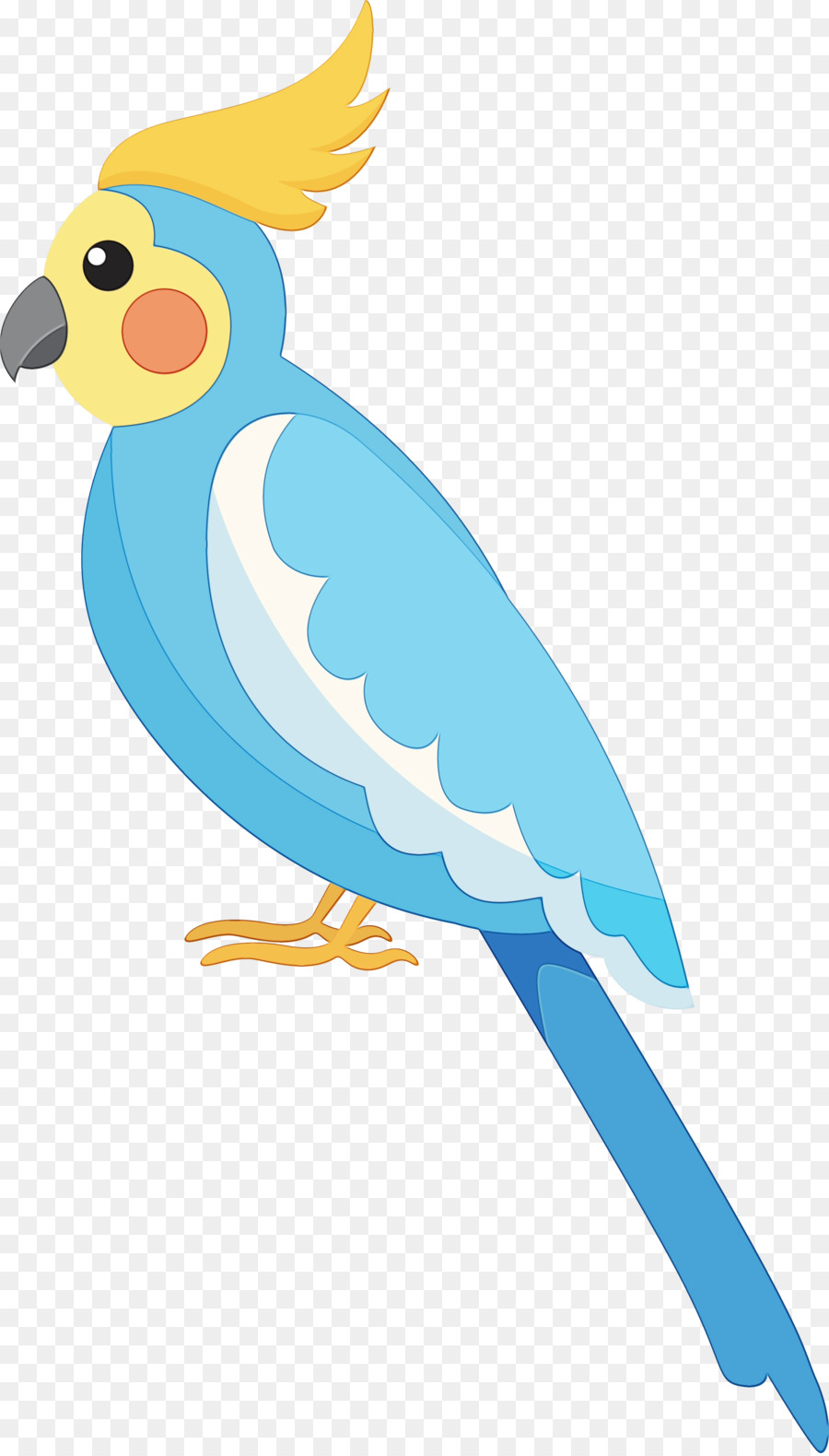 Guacamayo，Parakeet PNG