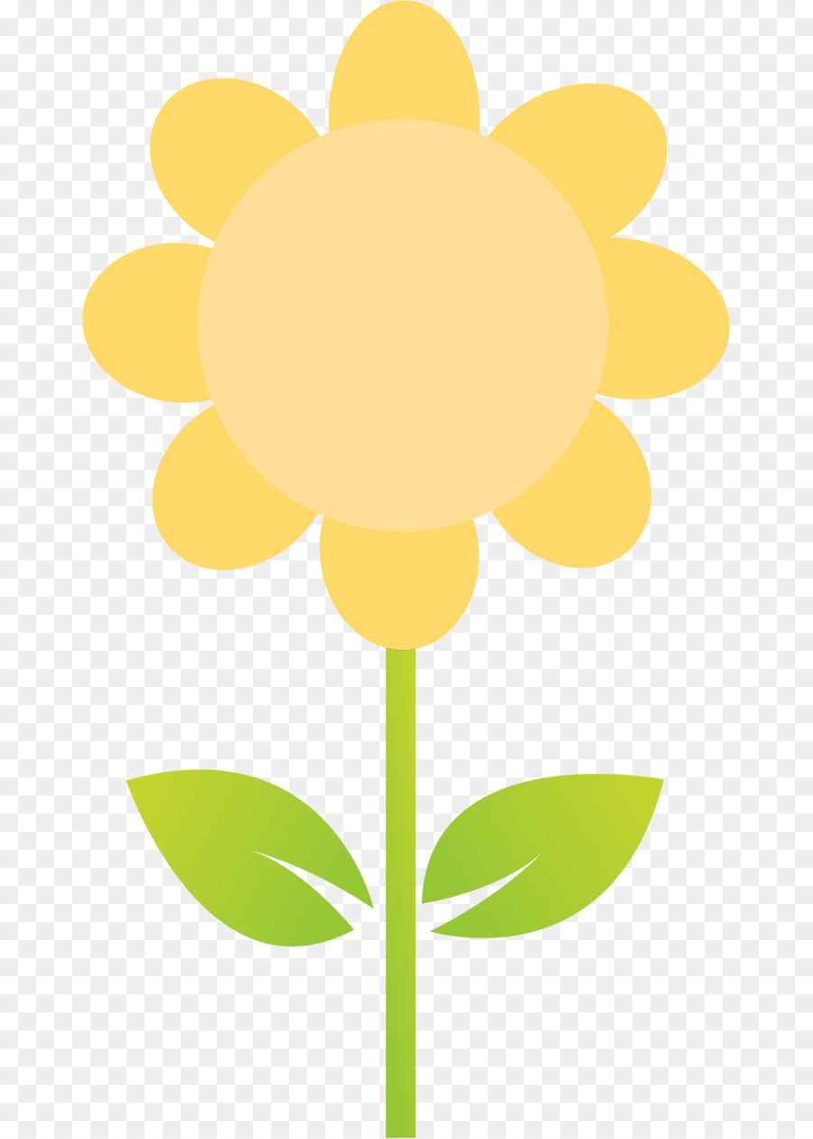 Flor，Amarillo PNG