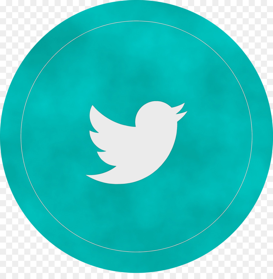 Logotipo De Twitter，Redes Sociales PNG