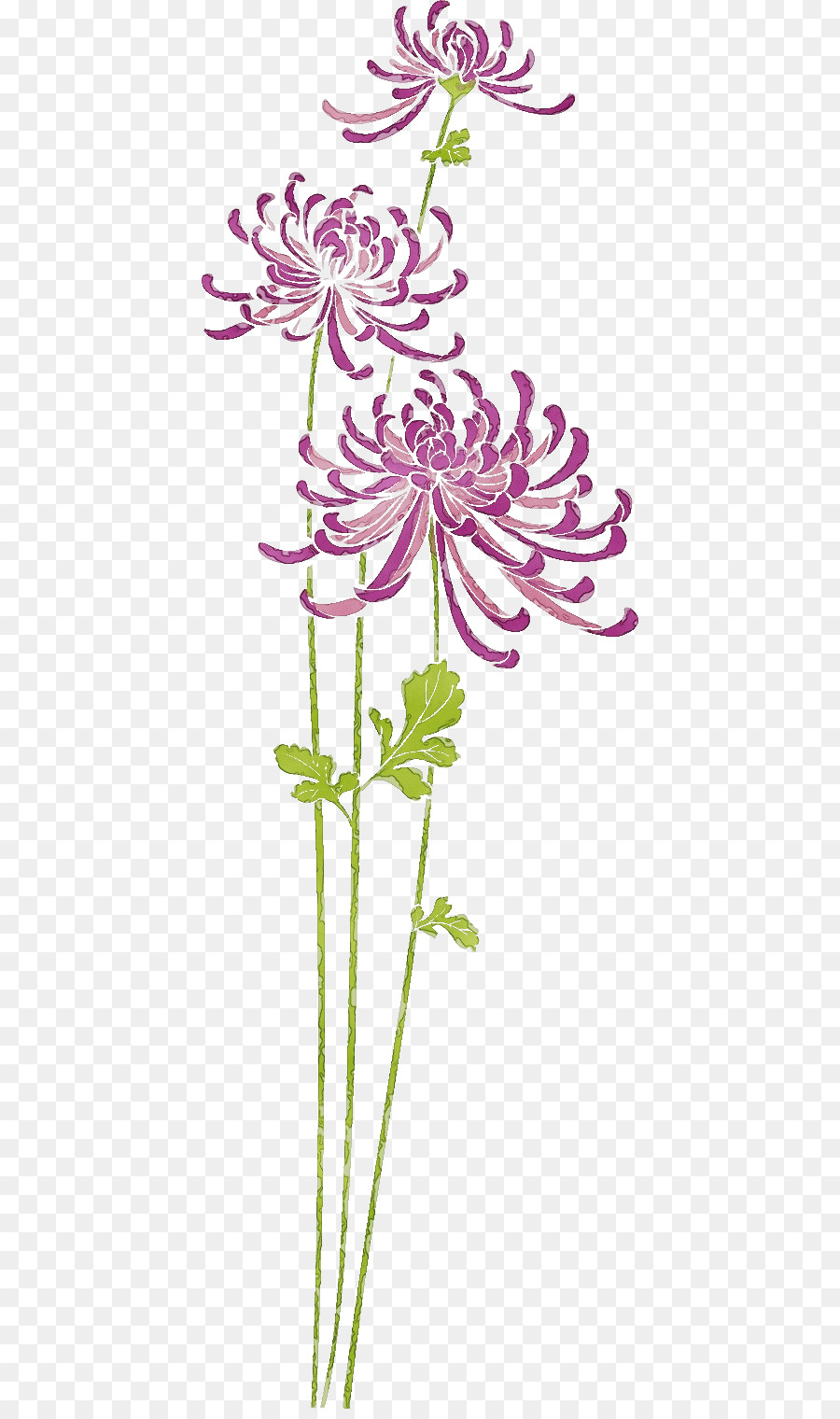 Las Flores Cortadas，Tallo De La Planta PNG