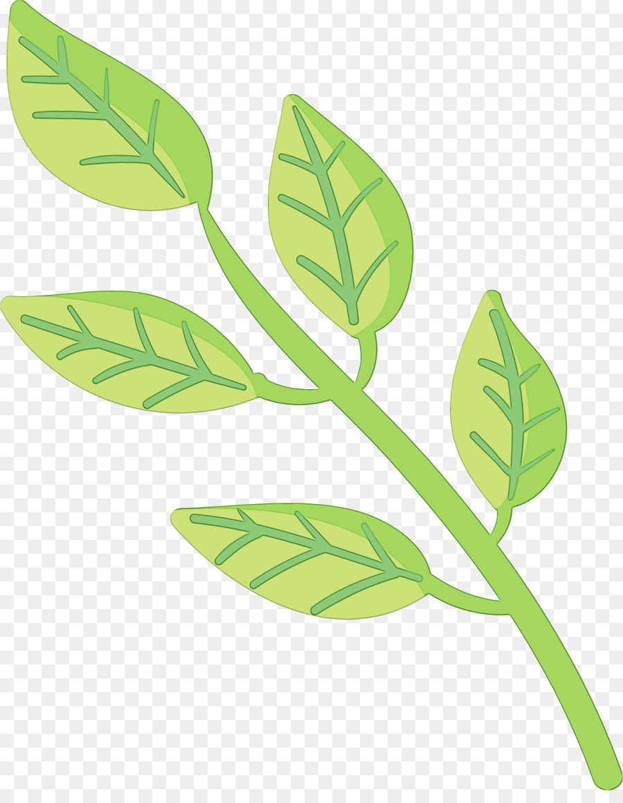 Hoja，Verde PNG