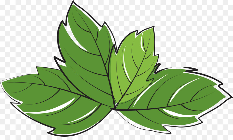 Hoja，Tallo De La Planta PNG