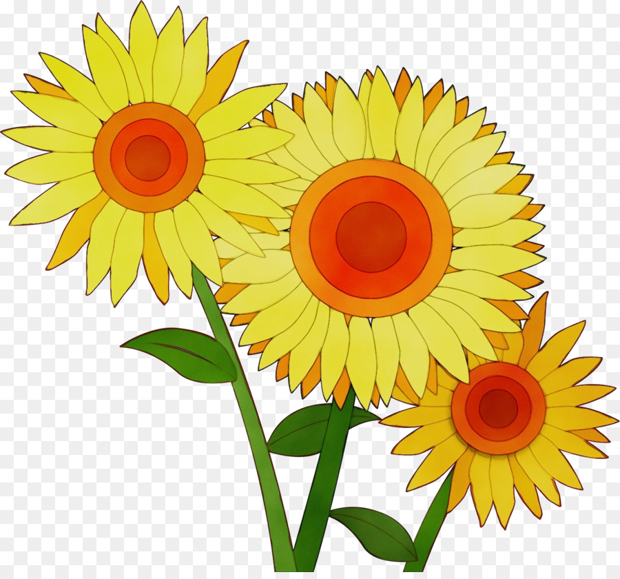 Girasoles，Arcoíris PNG