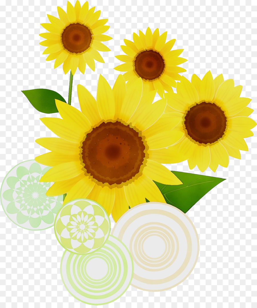 Girasoles，Flores PNG