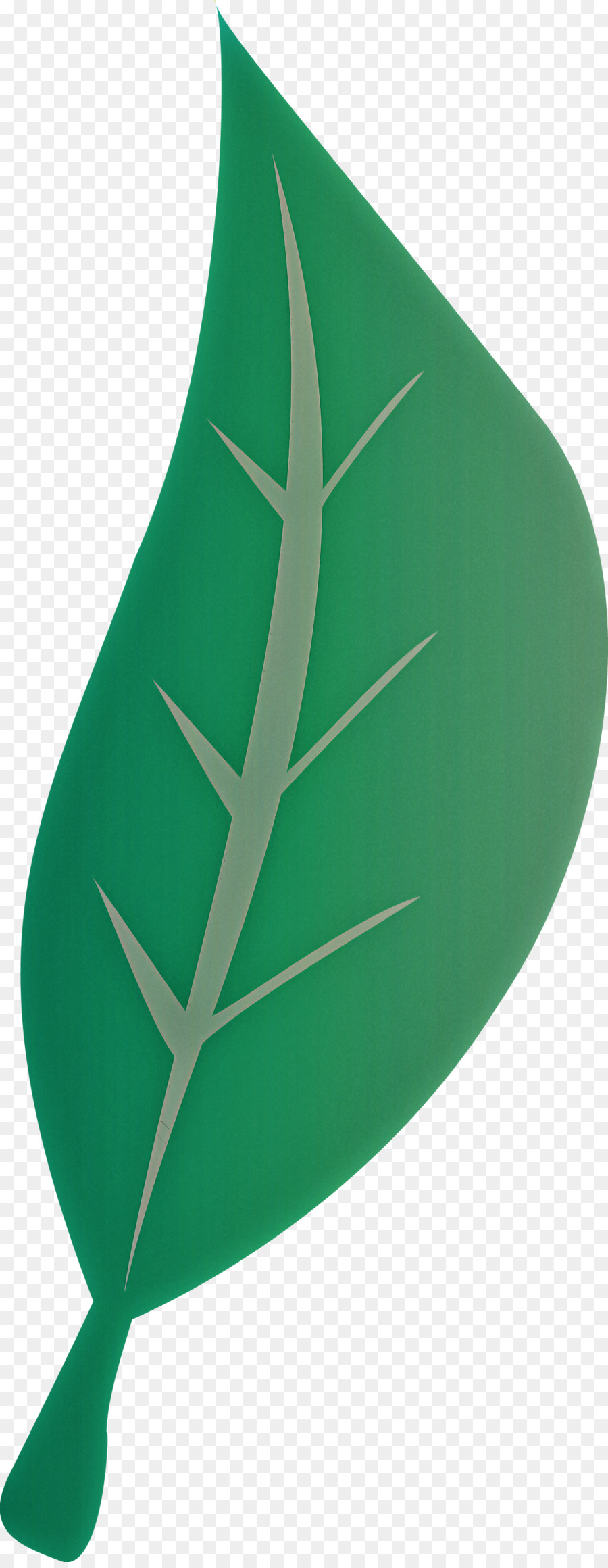 Hoja，Tallo De La Planta PNG