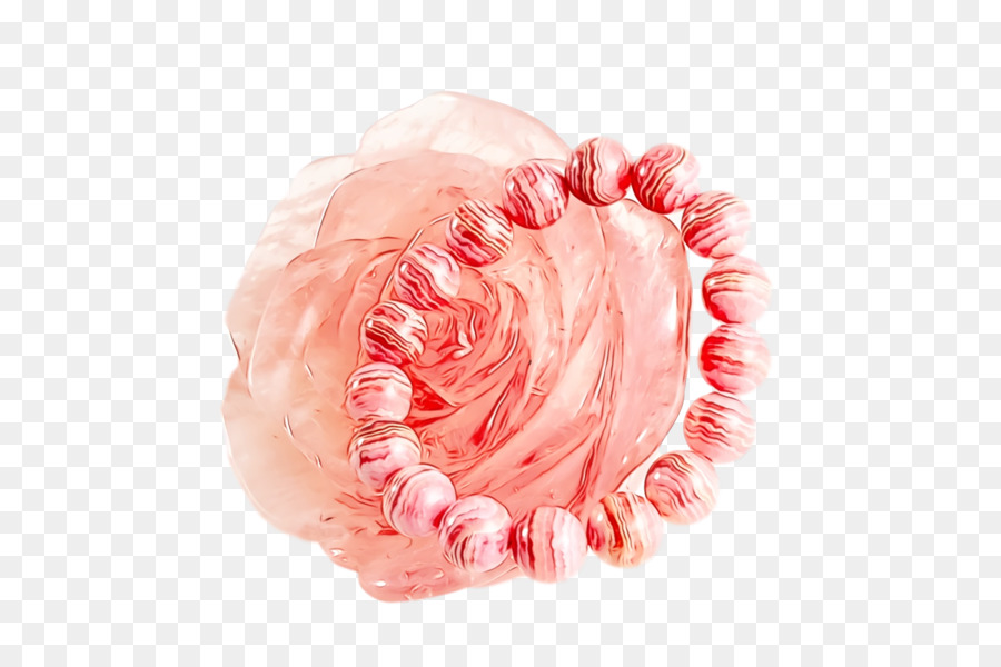 Rosa M，Primer Plano PNG