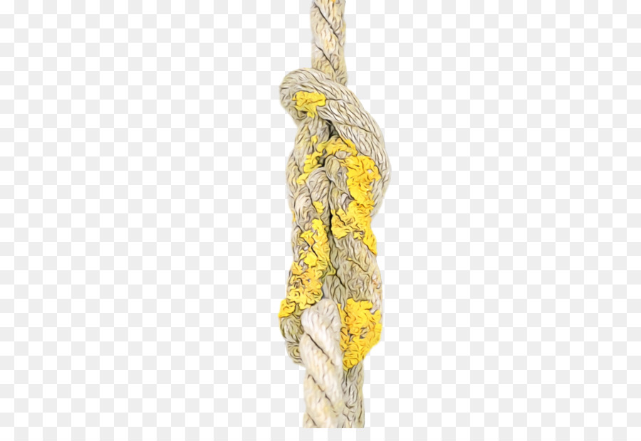 Amarillo，Joyería PNG