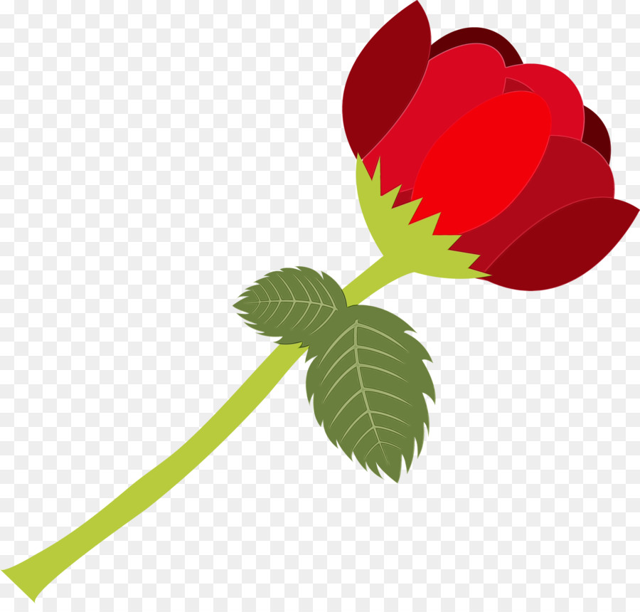 Rosa Roja，Brote PNG