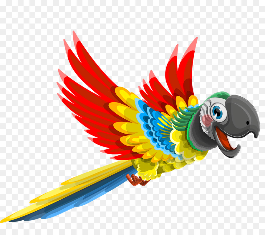 Loro Colorido，Pájaro PNG