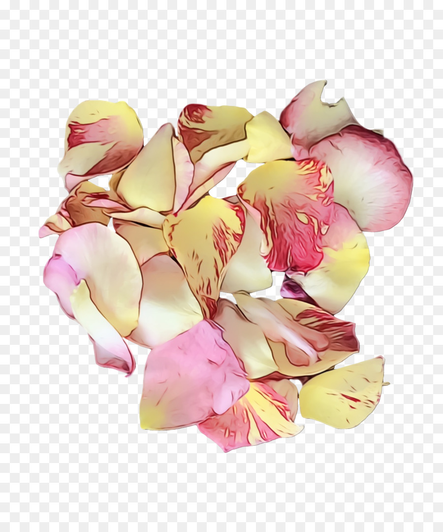 Flor Rosa，Pétalos PNG