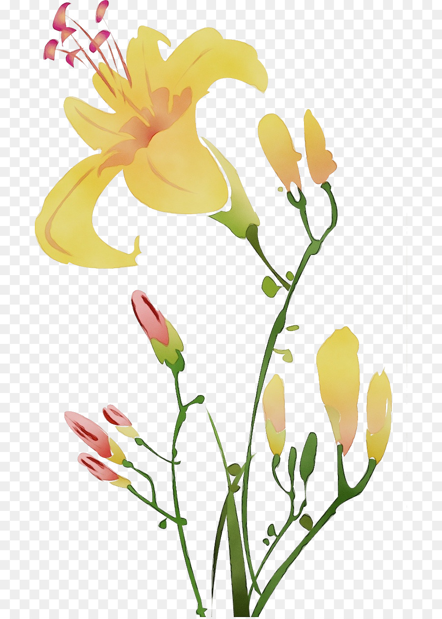 Diseño Floral，Tallo De La Planta PNG