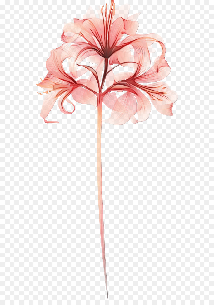 Diseño Floral，Tallo De La Planta PNG