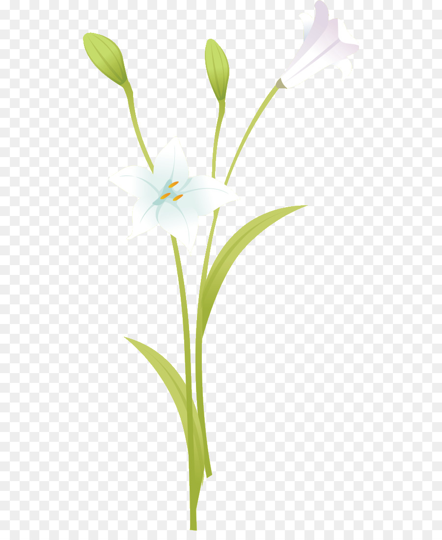 Flores Azules，Florecer PNG