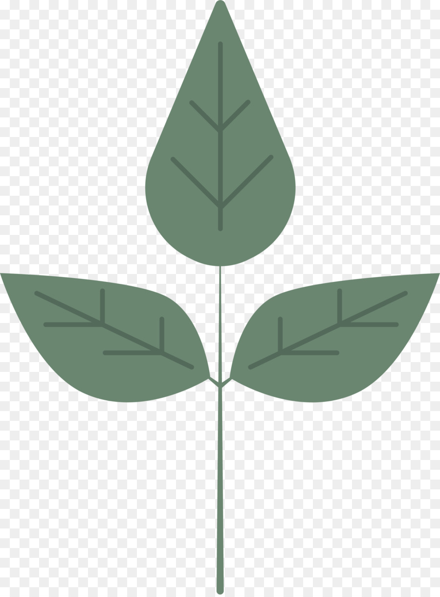 Hoja，Tallo De La Planta PNG