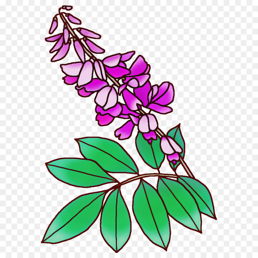 Flores Moradas，Florecer PNG