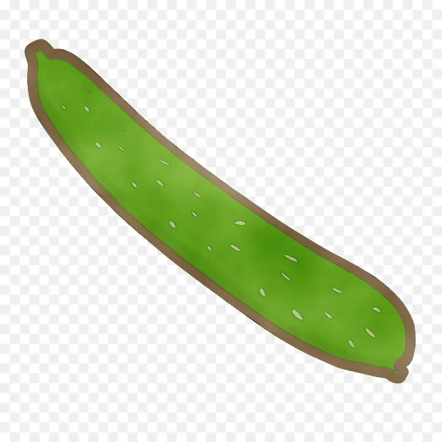 Vegetal， PNG