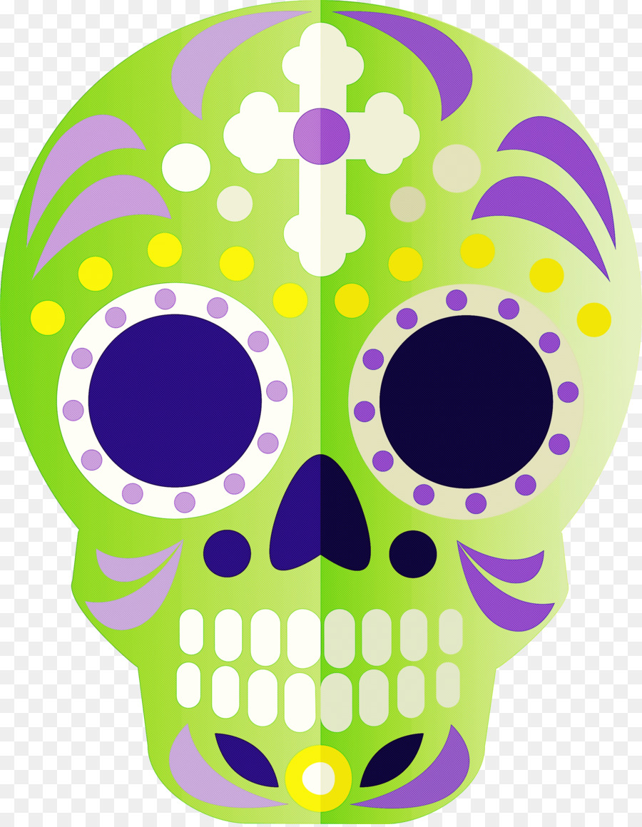 Calavera，Esqueleto PNG