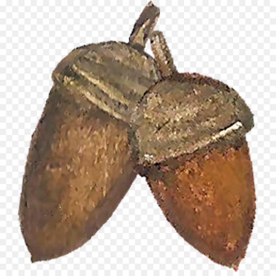 Bellotas，Cojones PNG