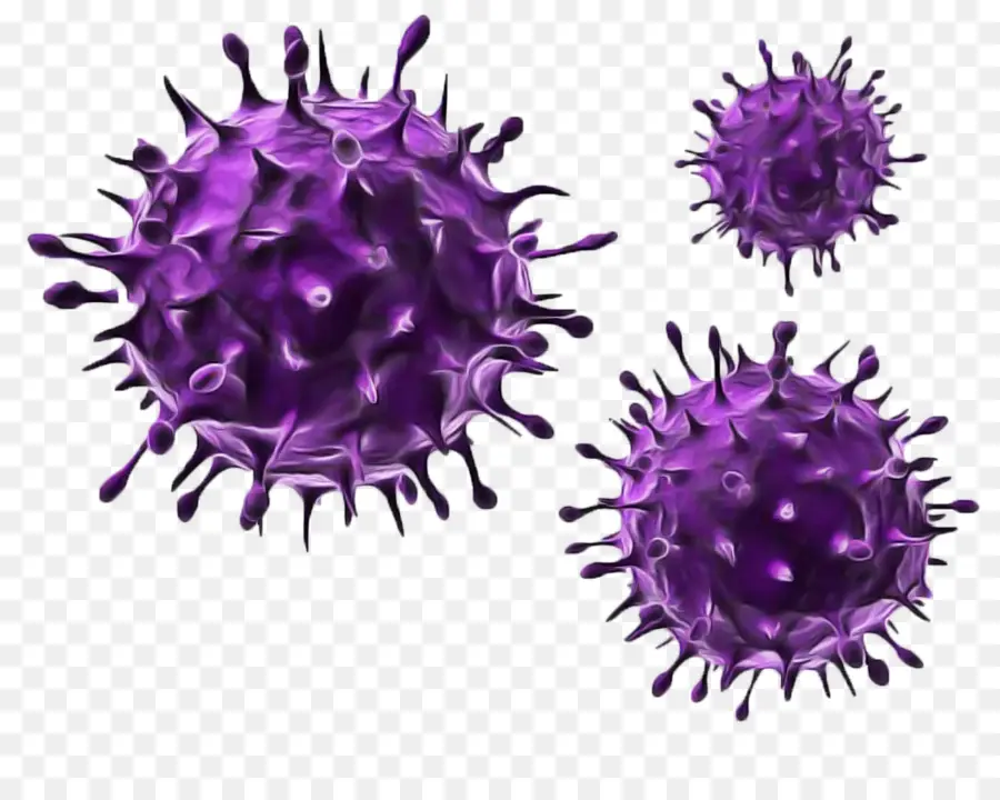 Virus，Virus Del Herpes Simple PNG