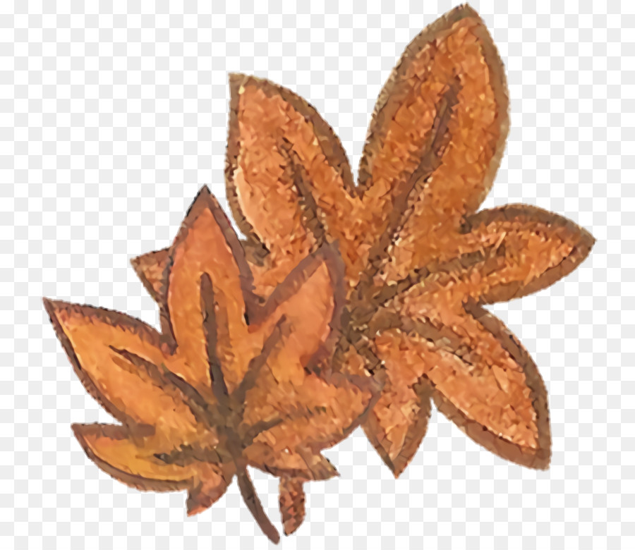 Hoja De Otoño，Caer PNG