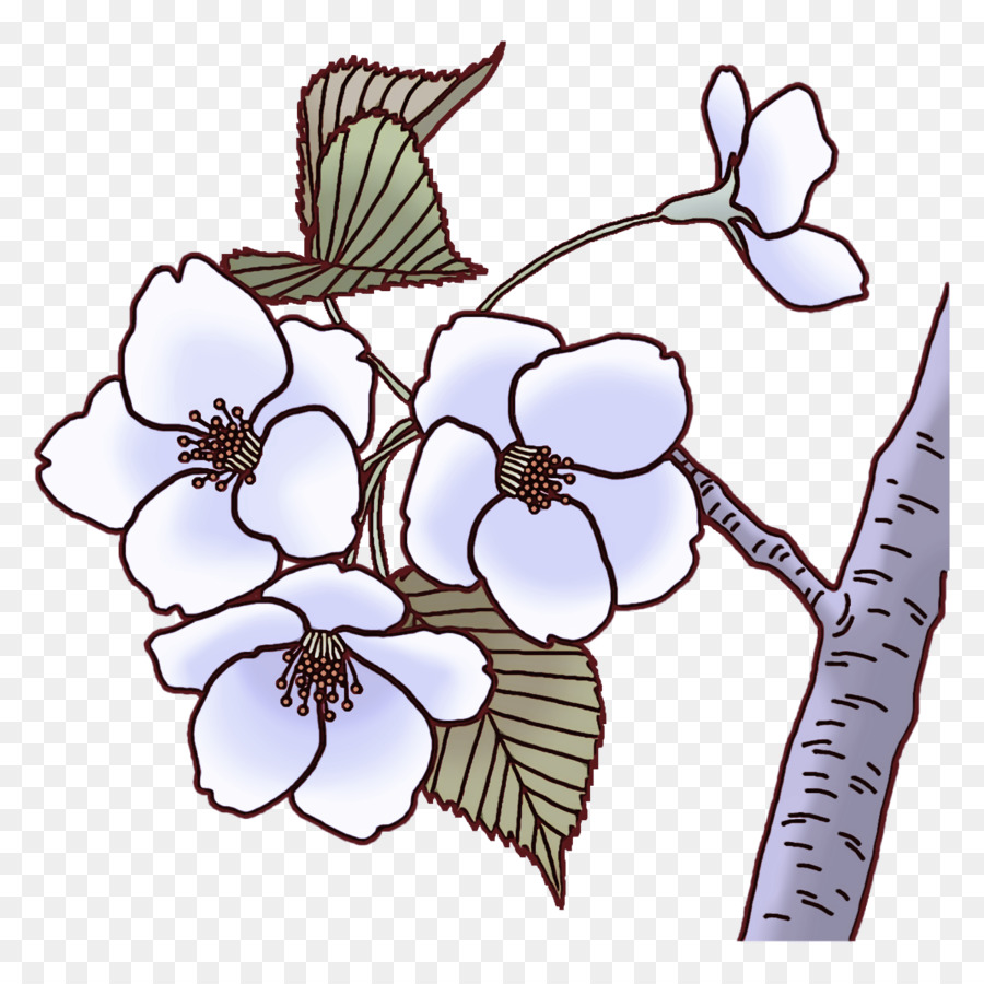 Diseño Floral，Flor PNG