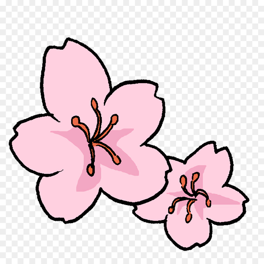 Flores，Florecer PNG